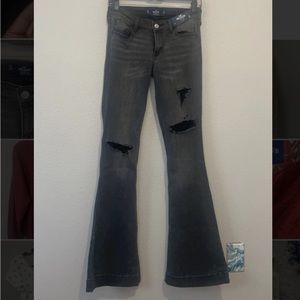 Brand new holister low rise flare jeans